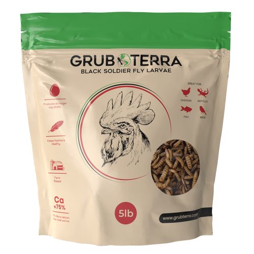 GrubTerra 5 lb premium dried black soldier fly larvae for poultry, rich in calcium and balanced in phosphorus.