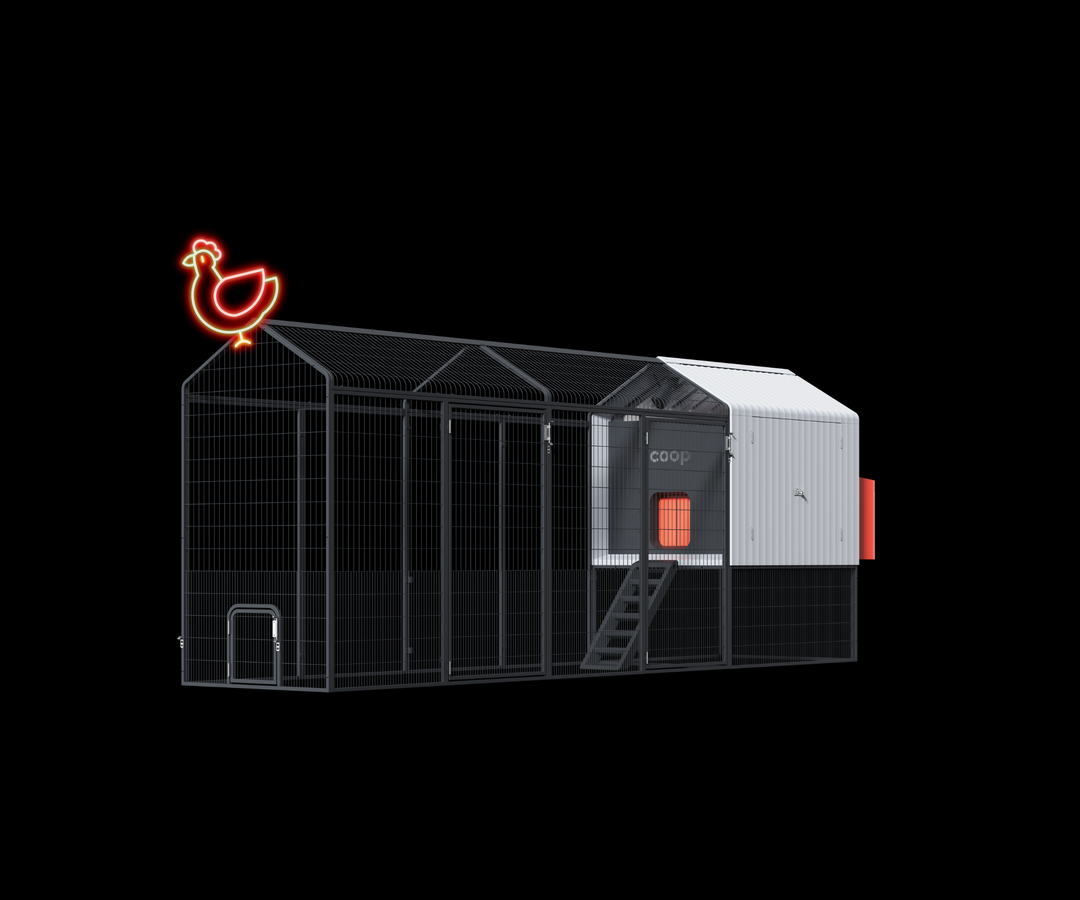 Extended range galvanised steel chicken coop with runs and a stylish chicken silhouette.