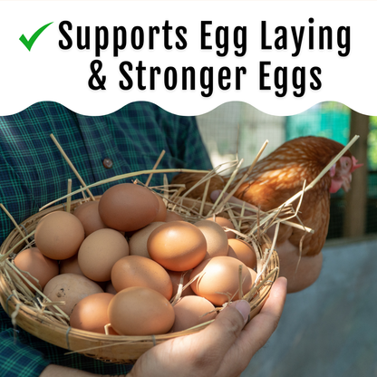 GrubFuel - Black Soldier Fly Larvae for chickens