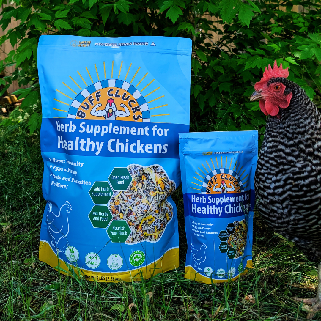 Herb Supplement For Backyard Chickens