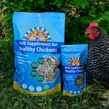 Herb Supplement For Backyard Chickens
