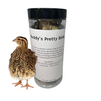 Freeze-dried whole quail dog treats in a 5-count pack by Quailz.com for bird dog training.