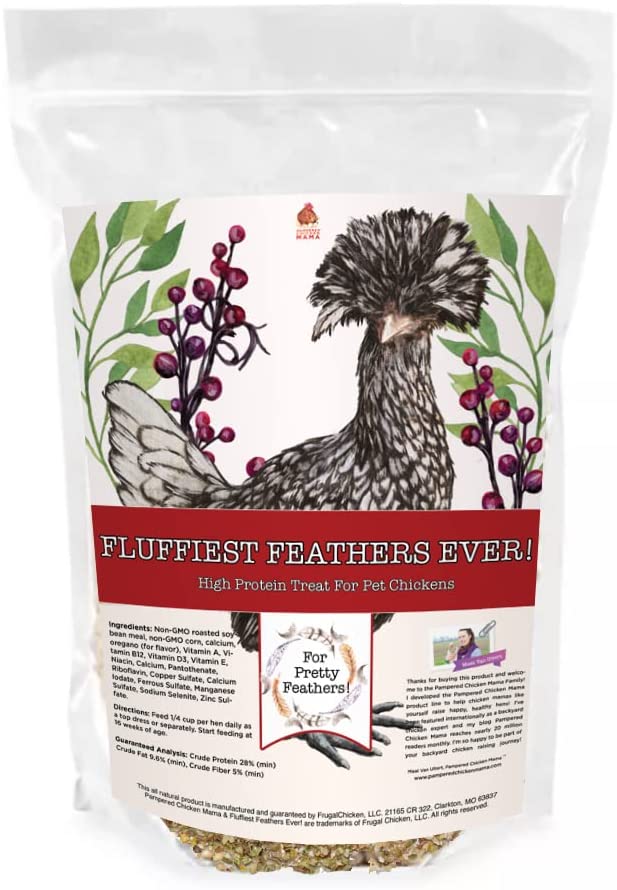 High Protein Chicken Feed Supplement from Dahlia Pets, 6-pound bag with colorful packaging and detailed ingredient list.