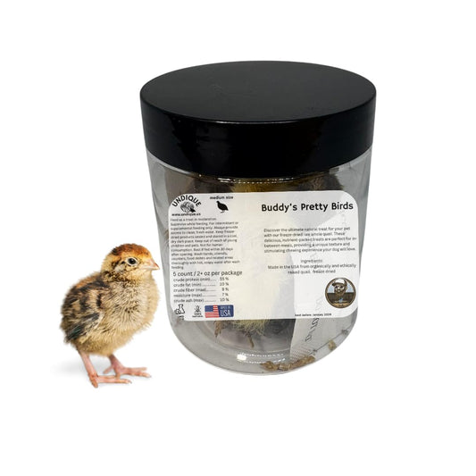 Whole Quail Chicks 5 Pack - Freeze-Dried Raw Prey Medium Size