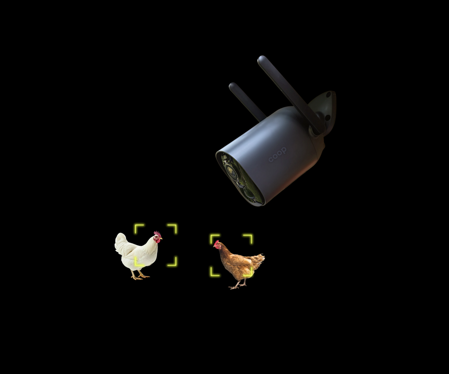 Smart Coop AI chicken coop camera with 1080p resolution and predator detection, featuring dual antenna design.