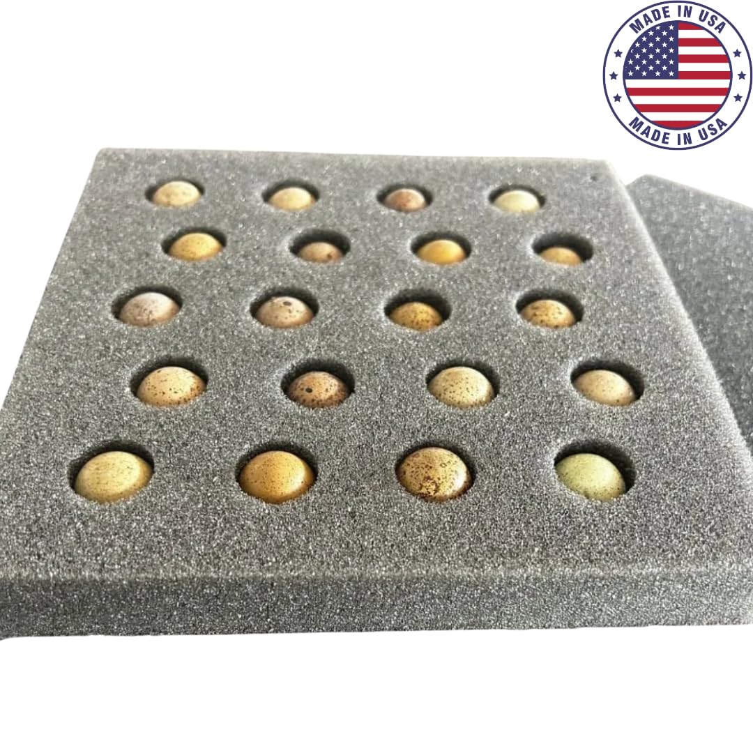 High-Quality Button Quail Egg Foam Shipper 20 Hole Sets (5 Count)