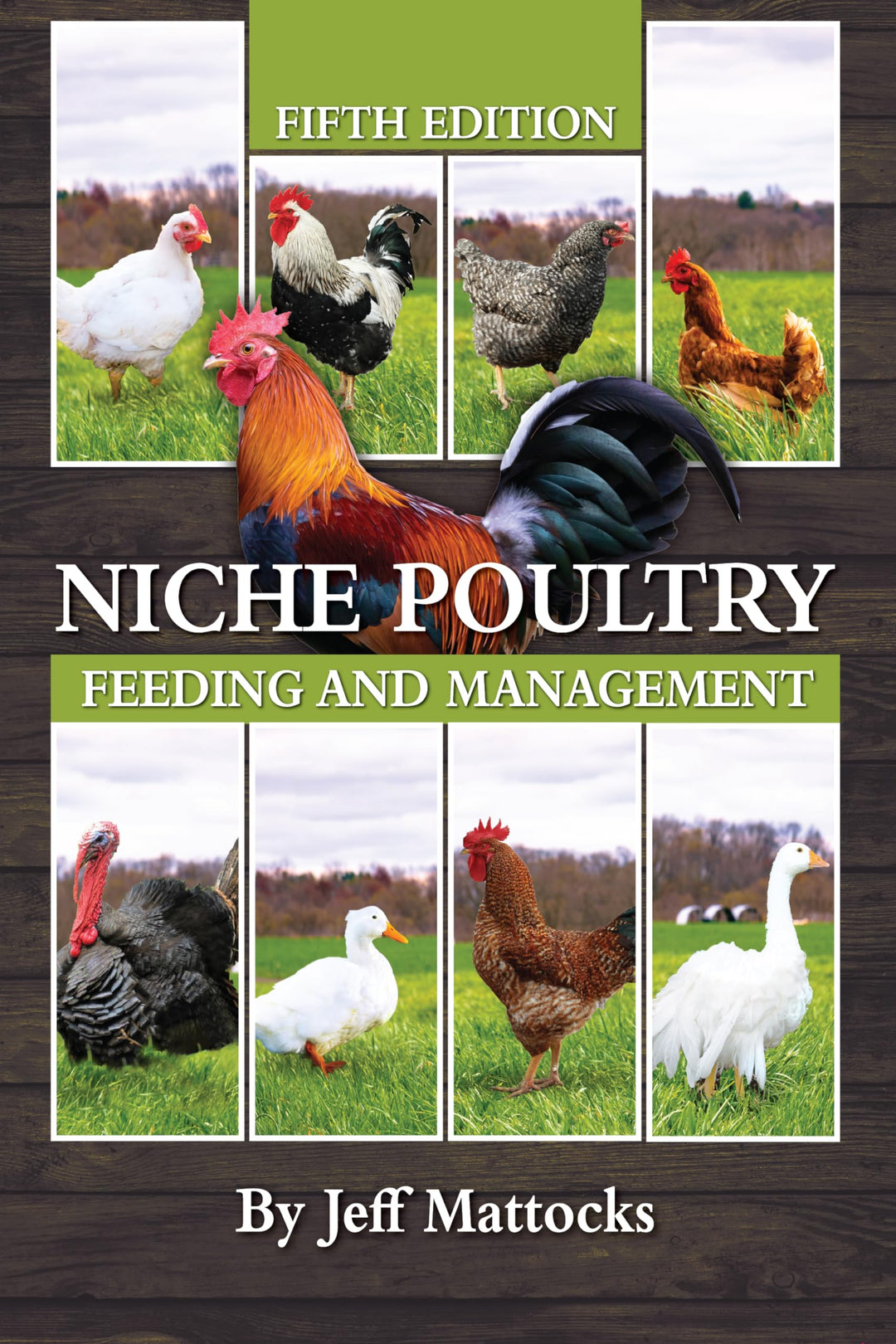 Niche Poultry Feeding and Management - By Jeff Mattocks (e-Book)