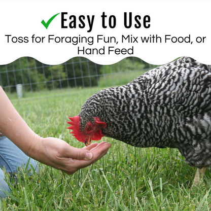 GrubFuel - Black Soldier Fly Larvae for chickens