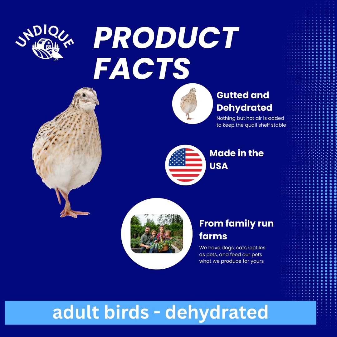 Whole dehydrated quail from Quailz.com, ideal for bird dog training, featuring gutting and dehydration for freshness.