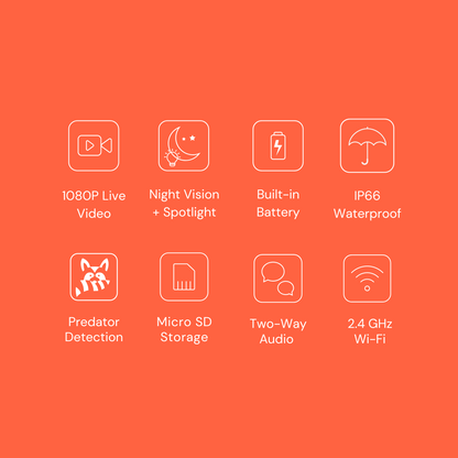 Smart CoopCam - AI Chicken Coop Camera with Predator Detection