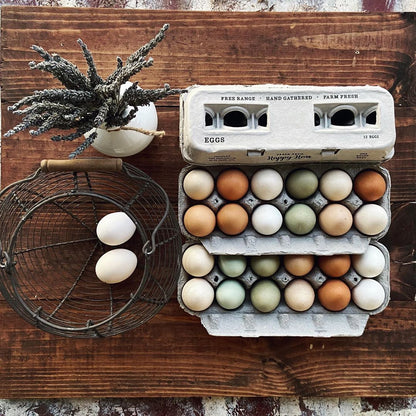 Customizable blank egg cartons made from recycled pulp fiber in natural color, available in packs of 25, 90, or 250 by My Pe