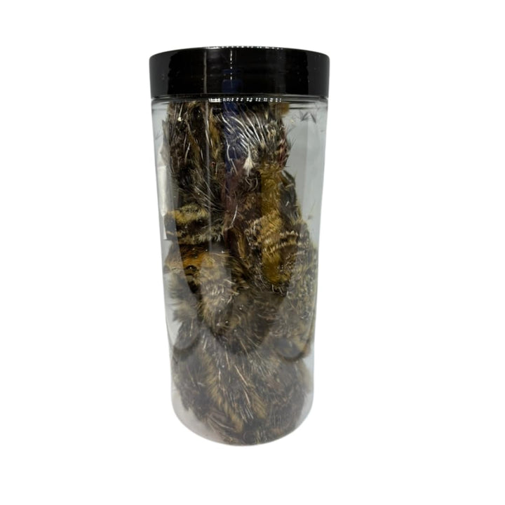Bird Dog Training Quail - Premium Freeze-Dried Whole Quail for Dogs 5ct, Large (Chick) - Natural Prey Feeding Quality Protein Pet Treats