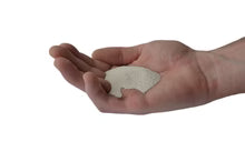 Fertrell Aragonite Pure Calcium supplement in a hand, ideal for poultry nutrition, available in 1lb, 5lb, and 50lb bags.