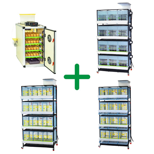 Complete 4-stage chicken breeding kit by Hatching Time with automatic egg turning for 120 eggs