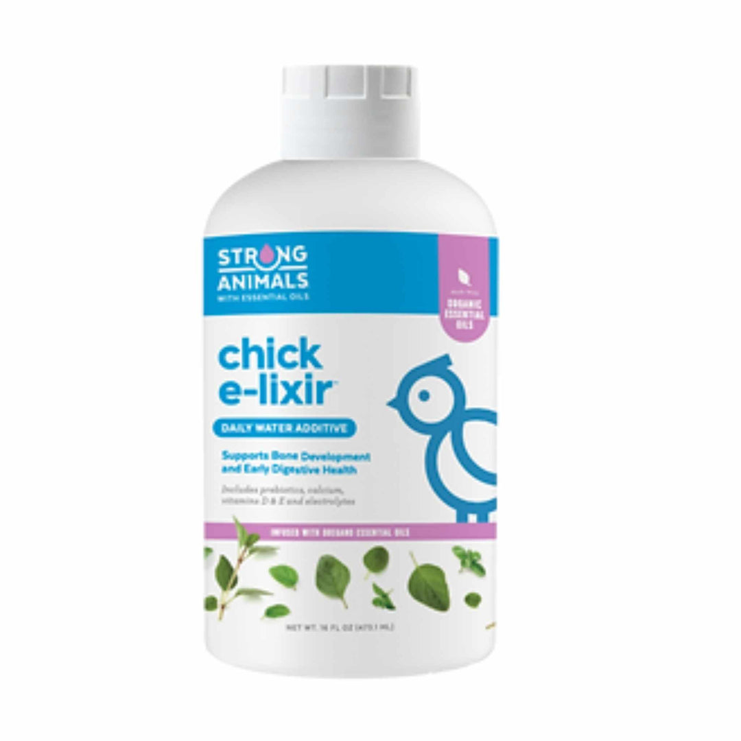 Chick care kit by Hatching Time with supplies for baby chickens, includes nutrition and health essentials.