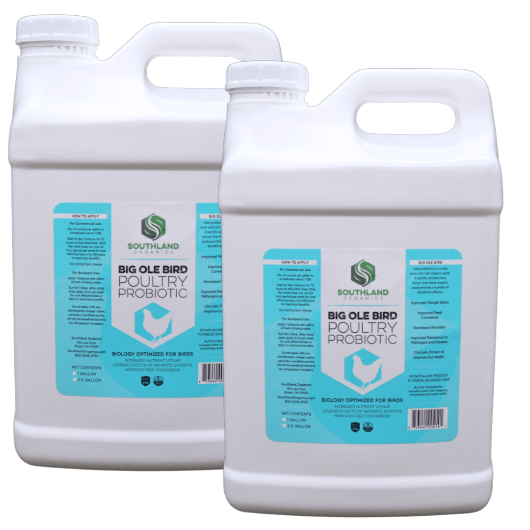 Big Ole Bird | Poultry Probiotics