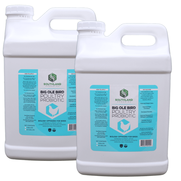 Big Ole Bird | Poultry Probiotics
