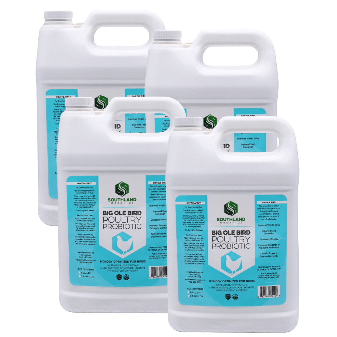 Southland Organics Big Ole Bird probiotics for poultry in a 2.5-gallon container, promoting flock health and digestion.