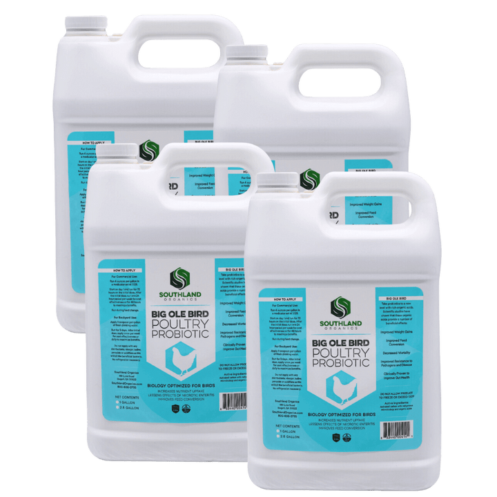 Big Ole Bird | Poultry Probiotics