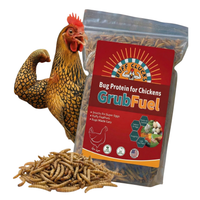 GrubFuel - Black Soldier Fly Larvae for chickens