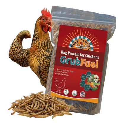 GrubFuel - Black Soldier Fly Larvae for chickens