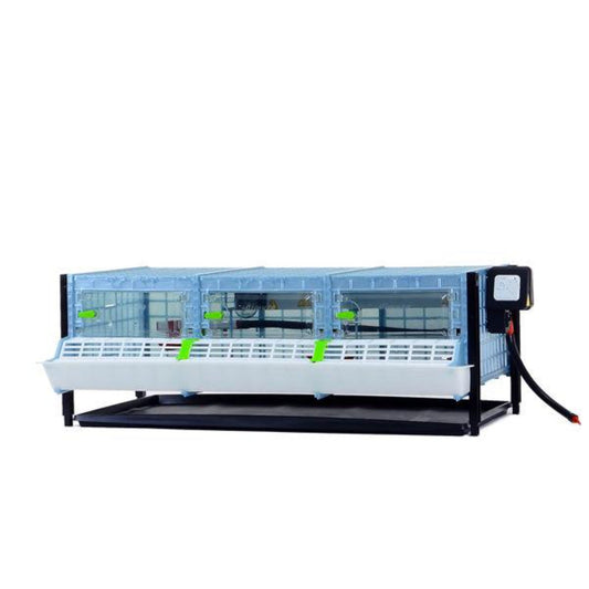 Chick brooder with 9.5-inch height and durable ComfortPlast design by Hatching Time for backyard poultry and classroom use.