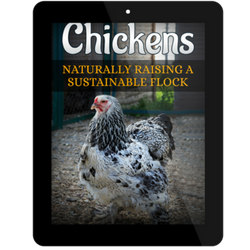 Digital eBook on sustainable backyard chicken raising by Dahlia Pets, featuring colorful cover design.