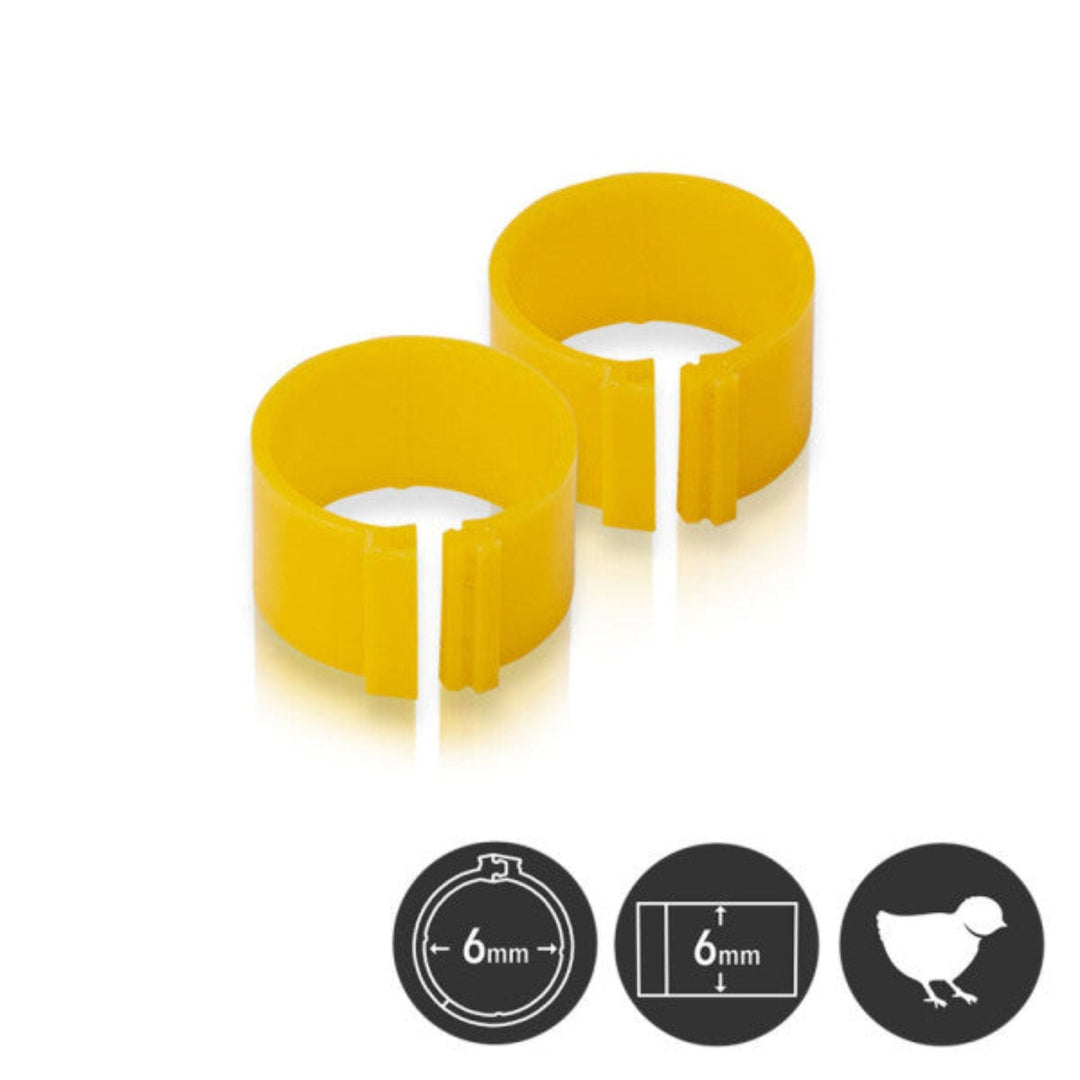 Poultry Leg Bands - 6 mm - Pack of 25