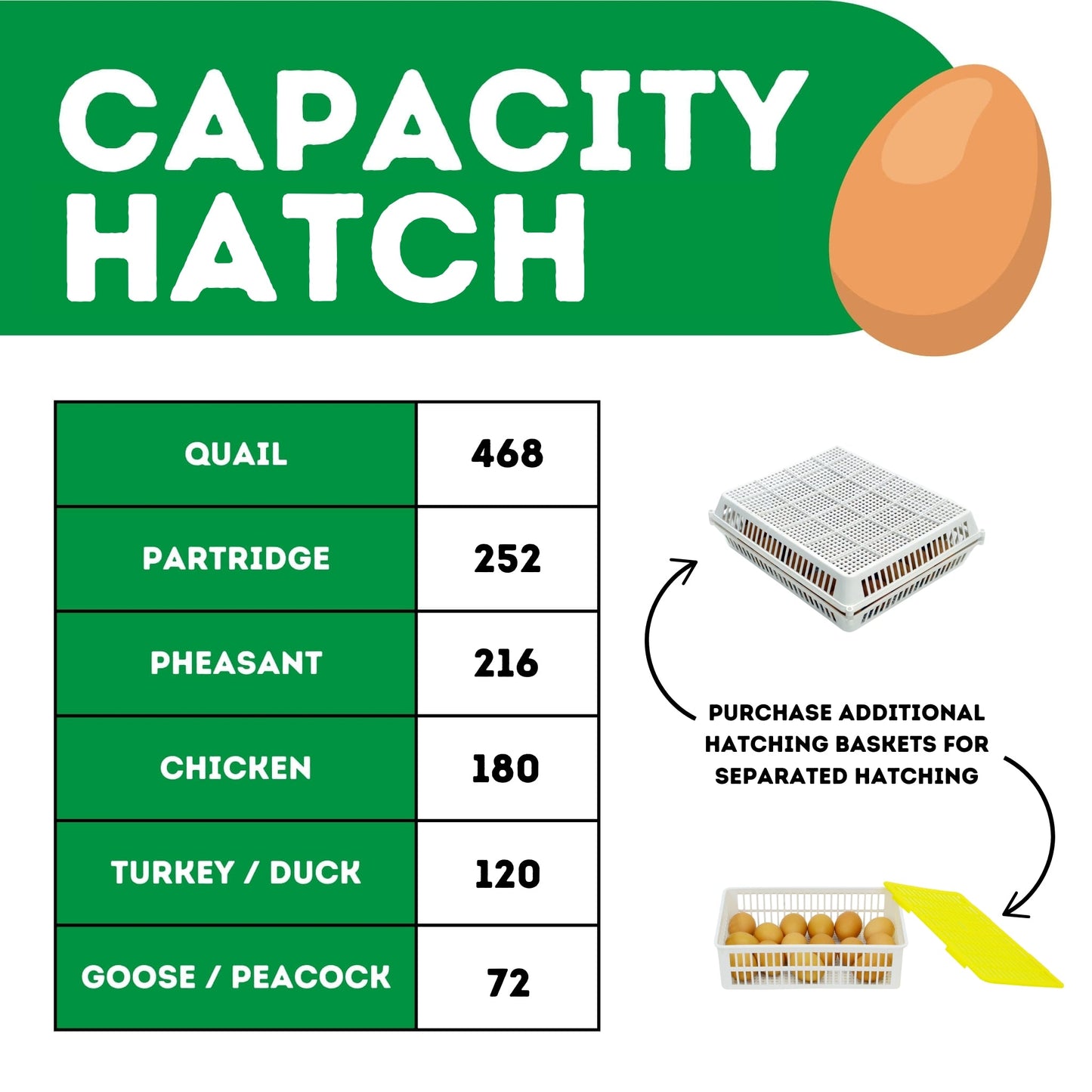 White automatic egg hatcher with 180 capacity and humidity control from Hatching Time