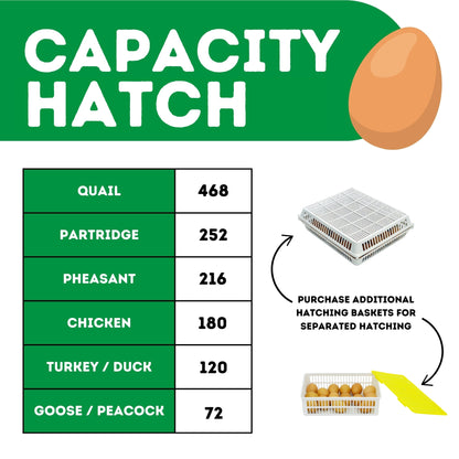 White automatic egg hatcher with 180 capacity and humidity control from Hatching Time