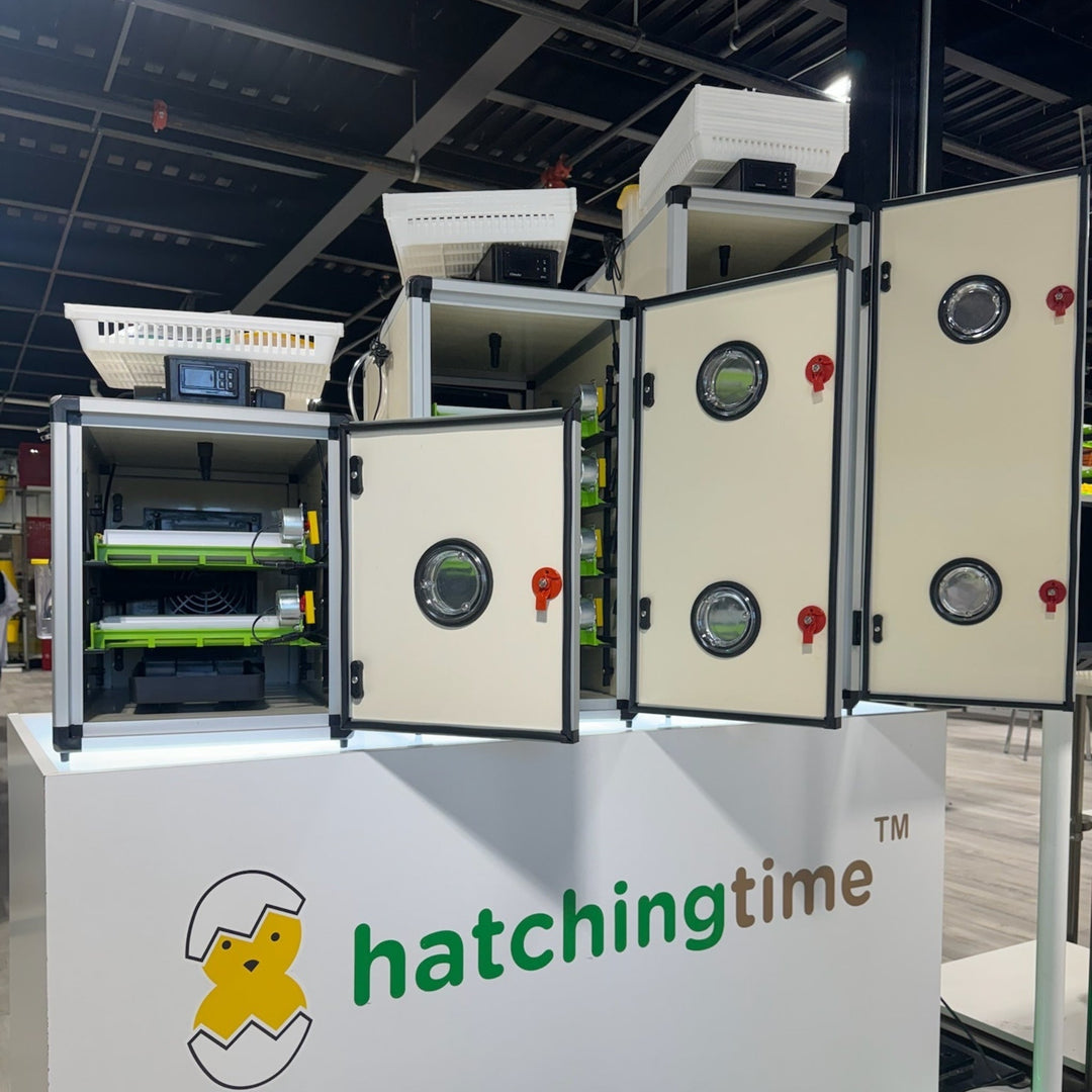 CT180 SH - Egg Incubator - Setter & Hatcher