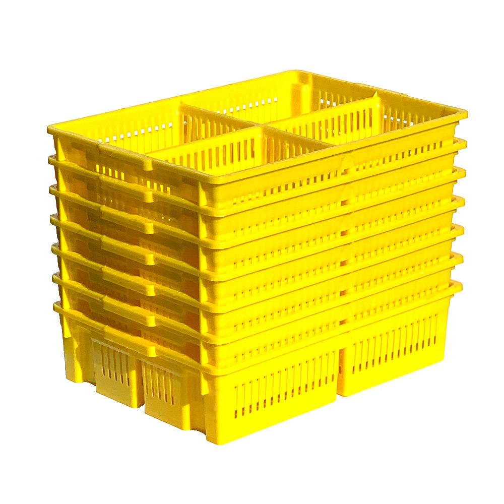 Large Chick Basket - 4 Section (4x25 Chicks)