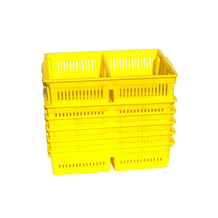 Large Chick Basket - 2 Section (2x50 Chicks)