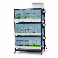 3-layer chick brooder by Hatching Time, 15 inches high, designed to prevent splay leg in baby birds.