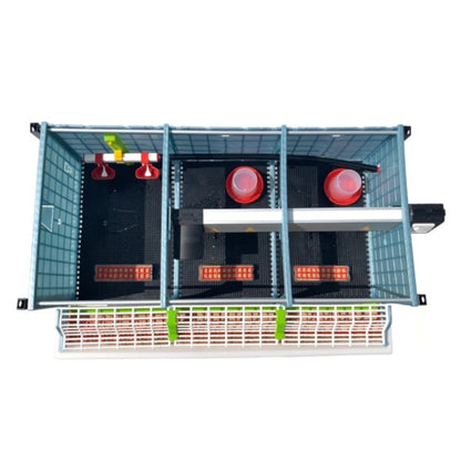 3-layer chick brooder with automatic heating, Hatching Time brand, 9.5 inches tall, holds up to 90 quail.