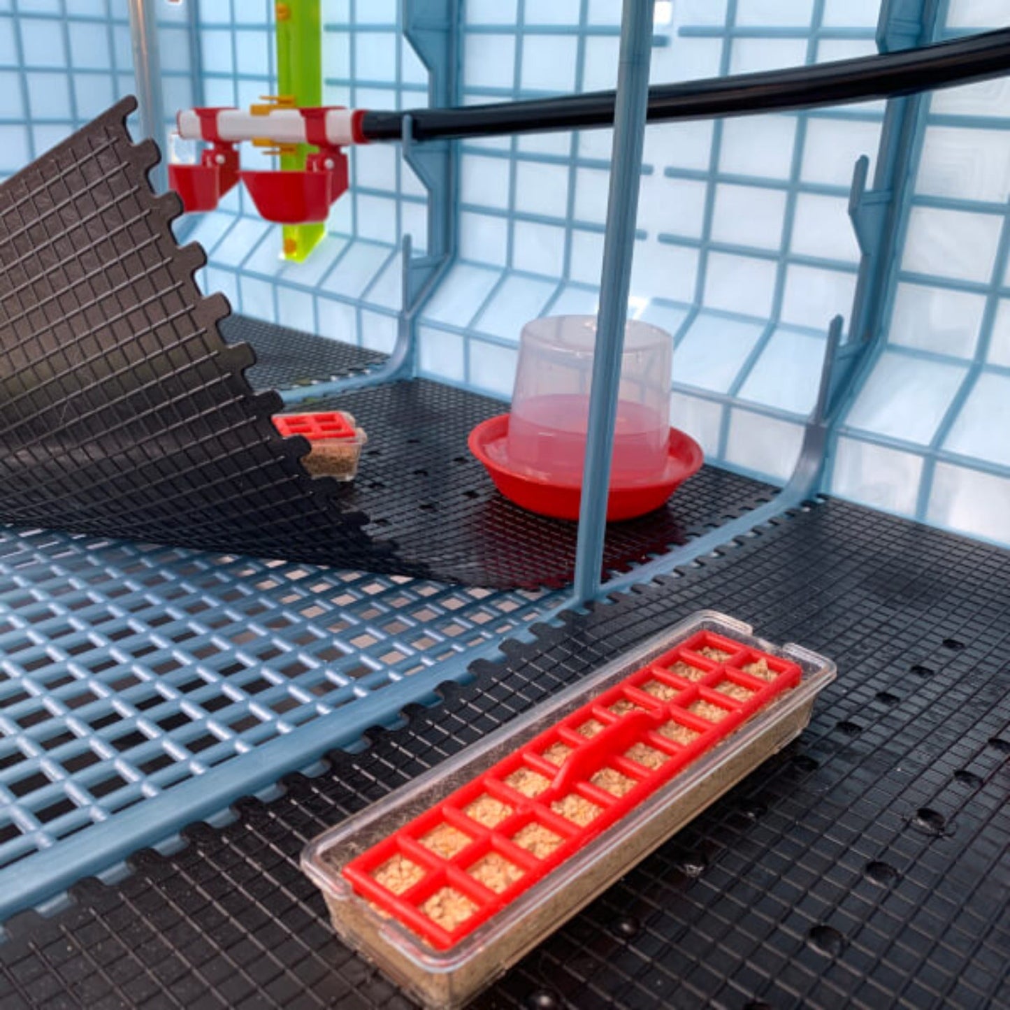 Chick Brooder - 4 Layer H: 15"