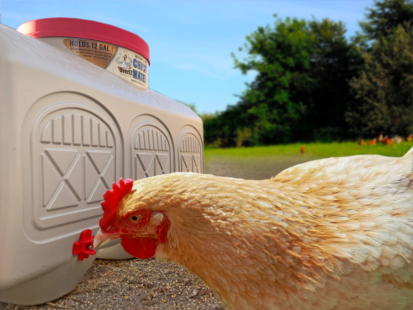 12-gallon BPA-free automatic waterer for chickens by OverEZ, durable plastic design for backyard coops.