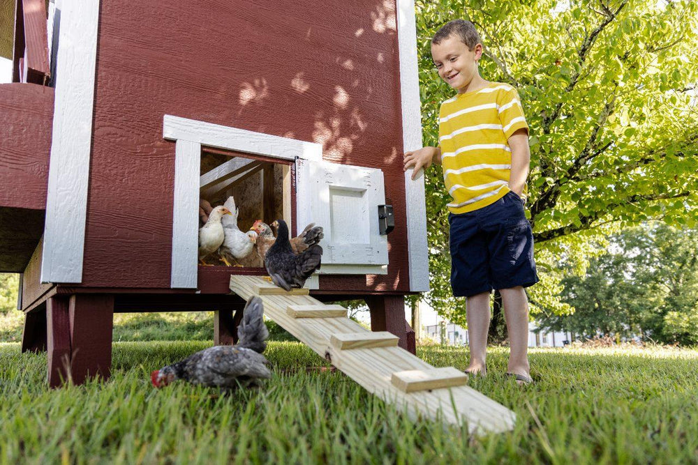 OverEZ large heavy-duty wood chicken coop in classic color for up to 15 backyard chickens