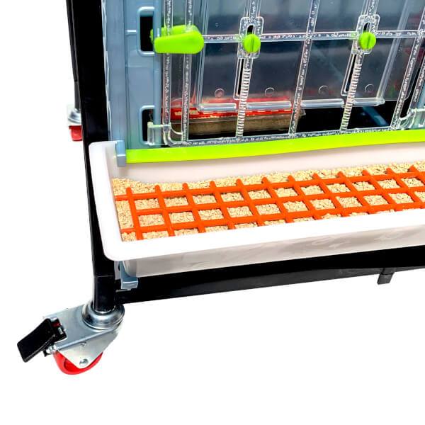 Chick Brooder - 3 Layer H: 15"