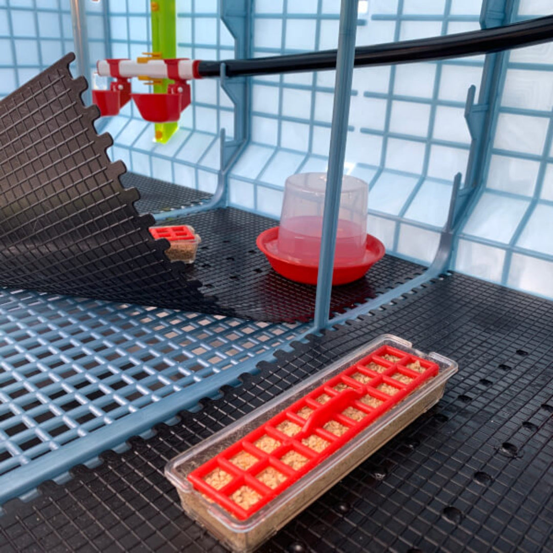 Chick Brooder - 1 Layer H: 15"