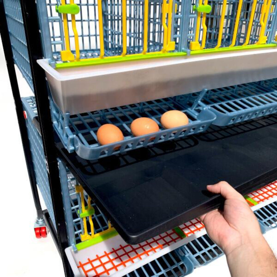 Cimuka 4-Layer Bantam Chicken Breeding Cage - 12-24 Birds