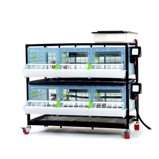 2-layer chick brooder by Hatching Time with built-in automatic heater, measuring 9.5 inches high