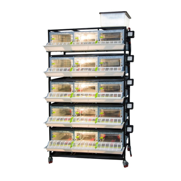 
                  
                    Chick Brooder - 5 Layer H: 9.5"
                  
                