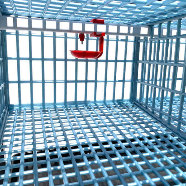 Quail Cage - 1 Layer