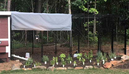 Walk-In Steel Chicken Run 15ft - 6'6"W x 15'L x 6'3"H Pre-Painted