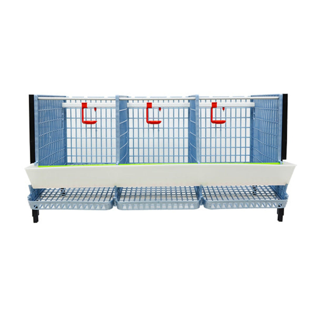 Partridge Cage - Layer addition