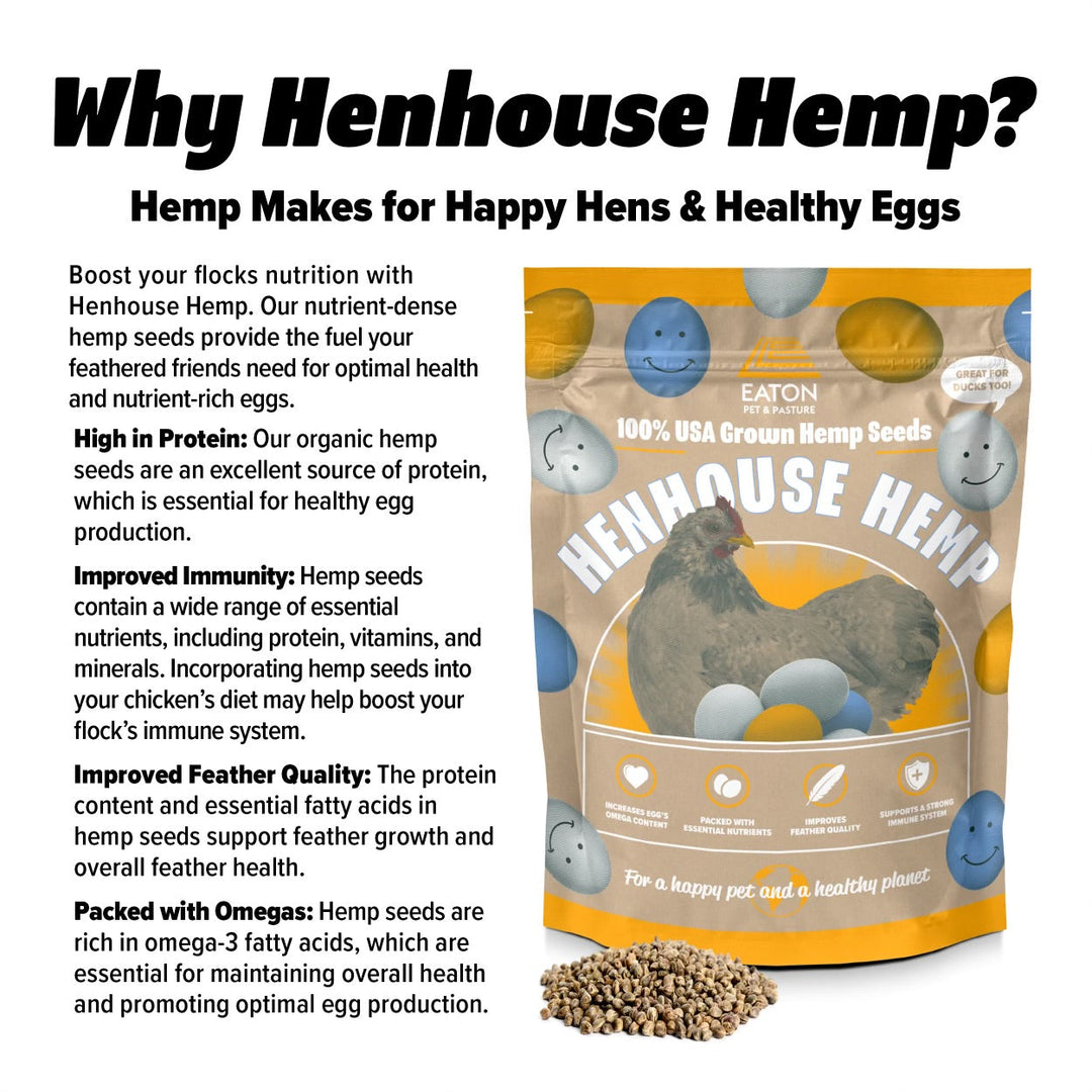 Chicken Snack Pack Bundle - Protein Grubs & Hemp Treats