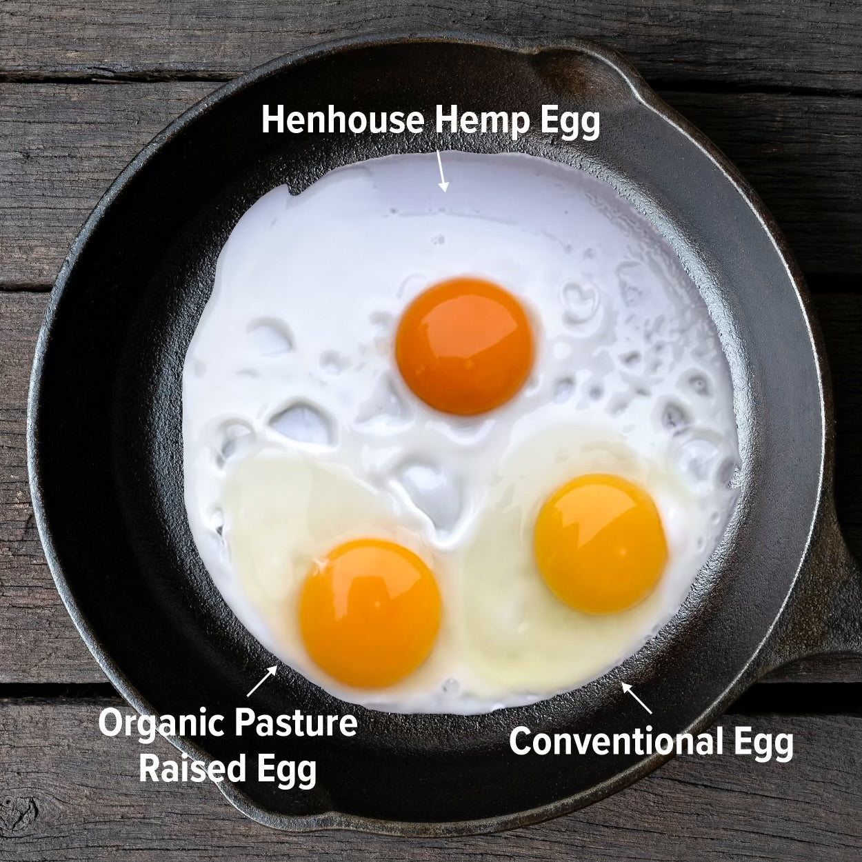 Henhouse Hemp organic chicken eggs in a cast iron skillet: two with vibrant yolks and one conventional egg.