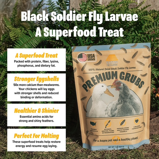 Premium USA black soldier fly larvae chicken treats in a 1LB bag, high calcium for stronger eggshells and shiny feathers.