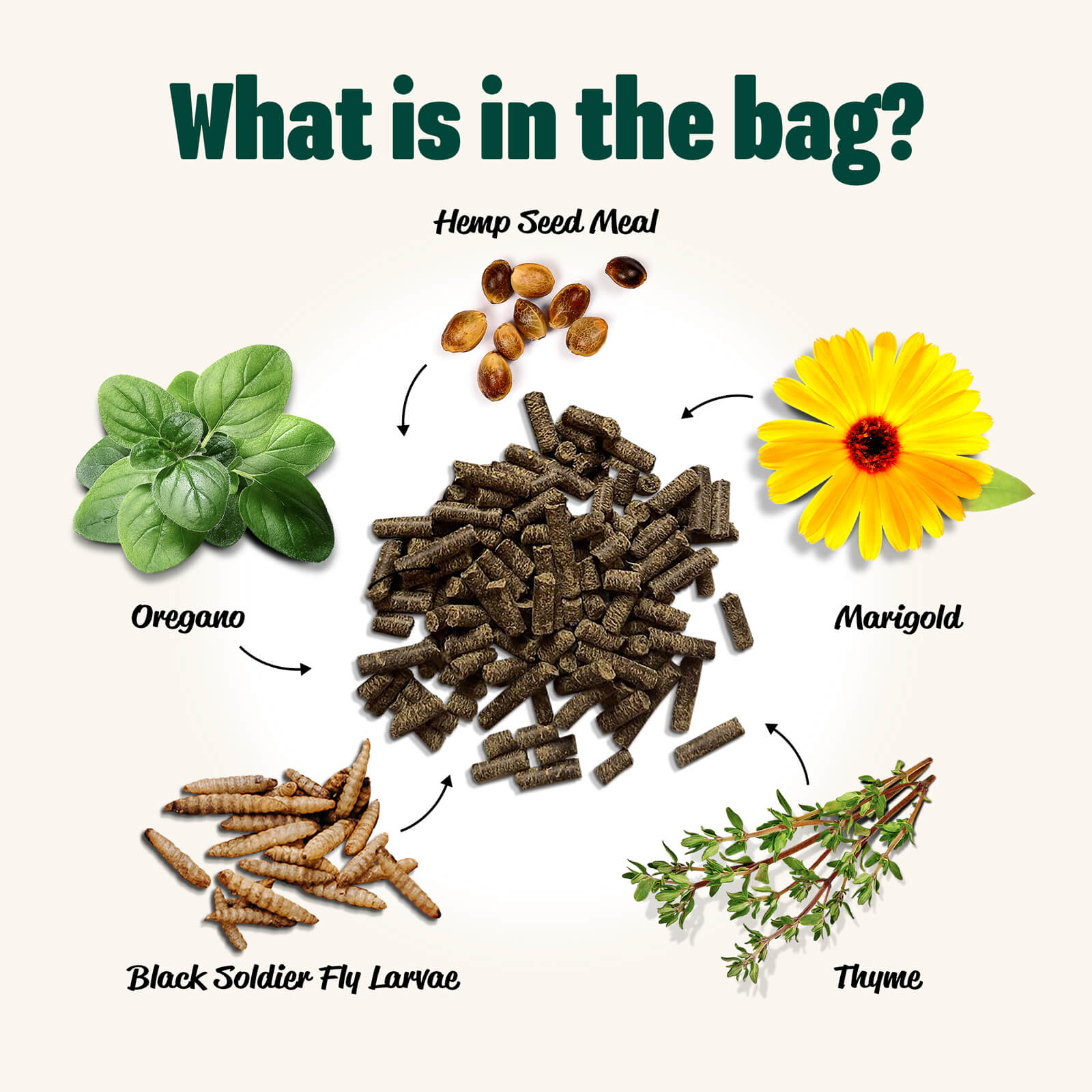 Natural chicken feed supplement featuring hemp seed meal, black soldier fly larvae, oregano, marigold, and thyme by Eaton Pe